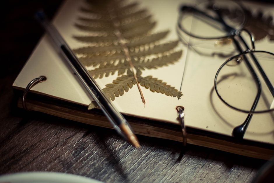 Artistic shot of a vintage notebook with a pressed fern, eyeglasses, and a pen on a wooden surface.