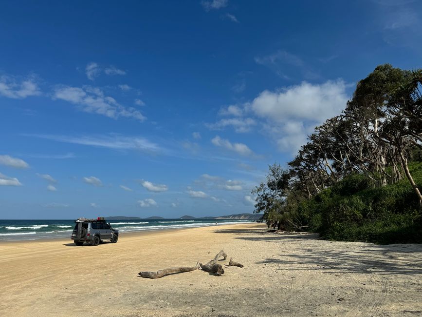 A 4WD vehicle driving along a remote sandy beach under a clear blue sky.